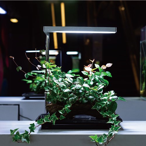 ONF Light 光之間 Flat Nano 全光譜LED植物燈 極簡銀 室內植物 辦公室 植栽