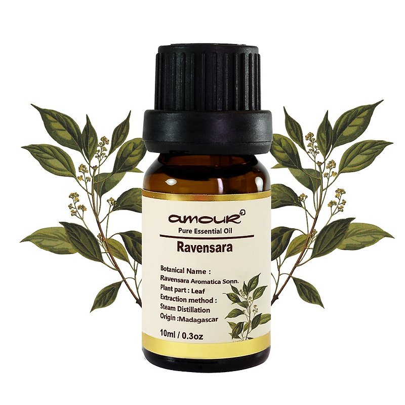 Ravensara essential oil 10ml