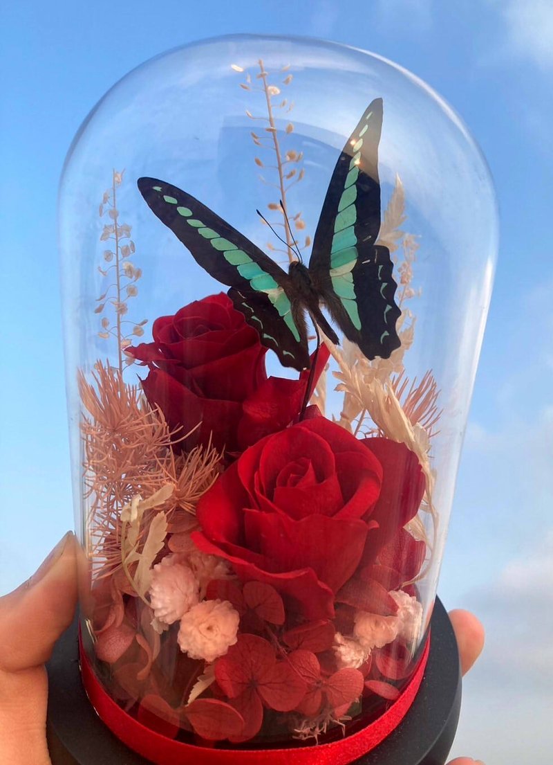 Butterfly specimen glass cup/Green-banded Papilion butterfly/Valentine's Day/Teacher's Day gift - Dried Flowers & Bouquets - Plants & Flowers Red