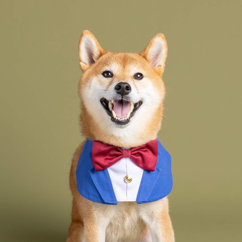 【ZAZAZOO】名偵探領巾-死神小學生 - 寵物衣服 - 棉．麻 藍色