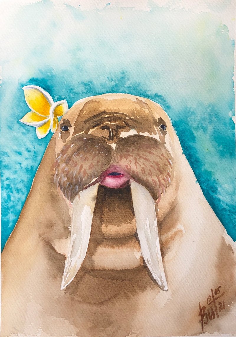 Walrus Painting Animal Original Art Watercolor Artwork Arctic Wall Art - 海報/掛畫/掛布 - 紙 藍色