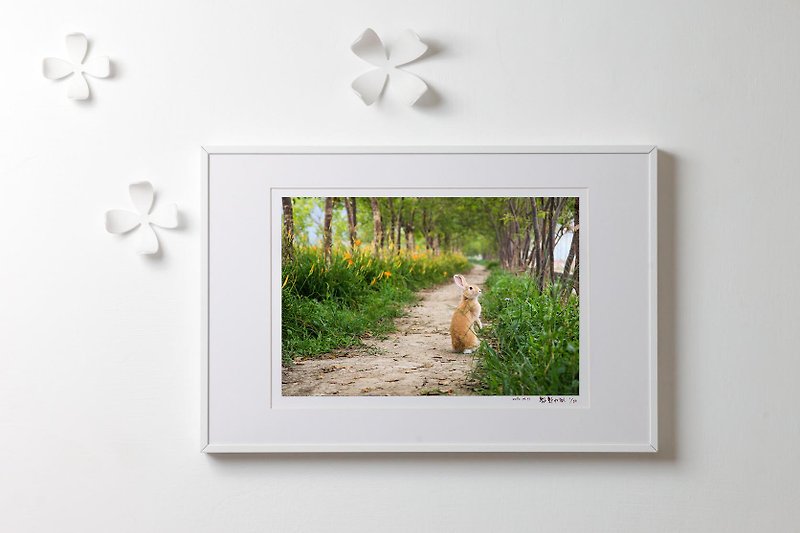 Rabbit Original Art Photography - "scenery along the way." - Posters - Paper 