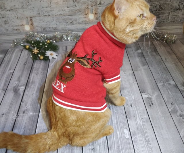 Cat christmas clearance sweater for cats