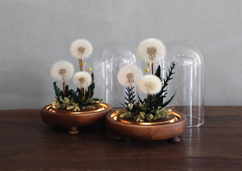 Mengtianya dandelion immortal flower glass flowerware (with lamp) - ของวางตกแต่ง - พืช/ดอกไม้ ขาว