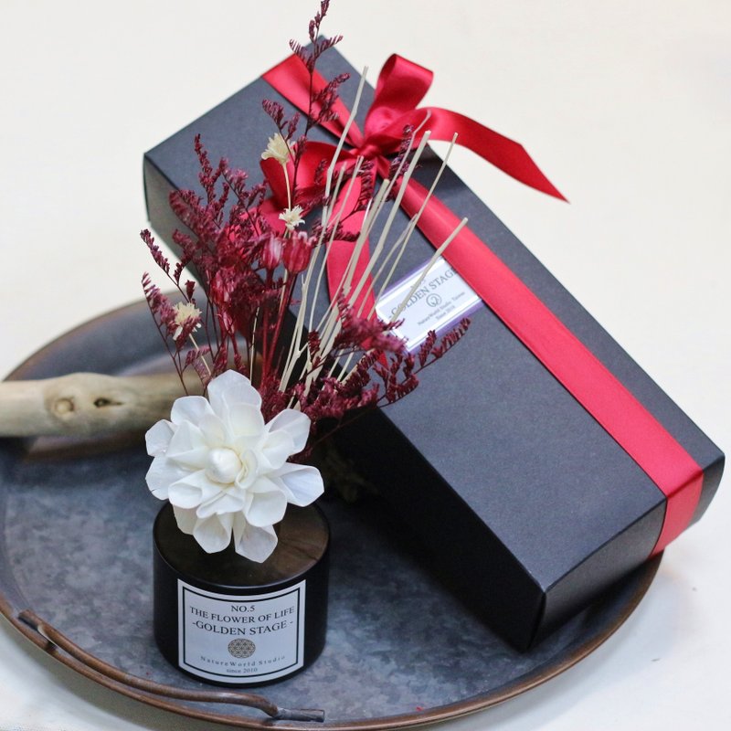 [Exclusive Gift Box] Red Tone/Natural Essential Oil Diffuser Bottle Set 120ml/18 Types - Fragrances - Glass Red