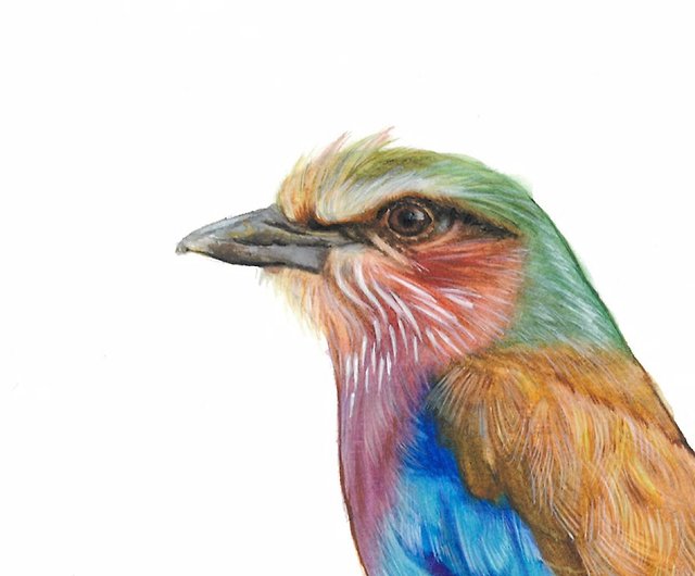カラフルな鳥の絵、オリジナルの水彩画、鳥のアート、鳥の絵 