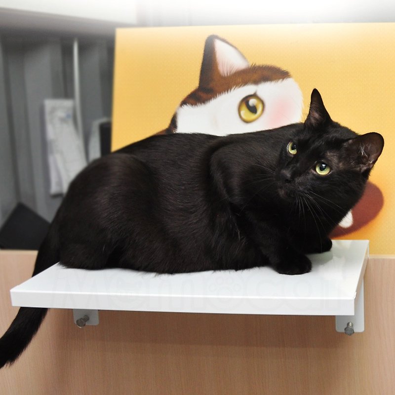 วัสดุอื่นๆ อุปกรณ์แมว - 【MOMOCAT】Second Generation Universal Cat Drying Stand