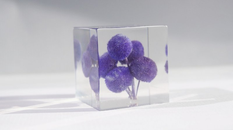 Purple Button Flowers - dried flowers decoration three-dimensional square - อื่นๆ - พืช/ดอกไม้ สีม่วง