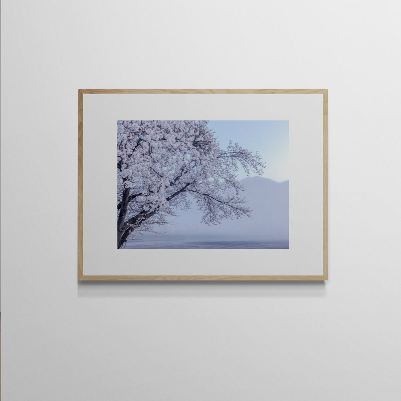 [Art Hanging Painting] Wu Jincan Leo Wu | 021 sakura Sakura - โปสเตอร์ - กระดาษ 