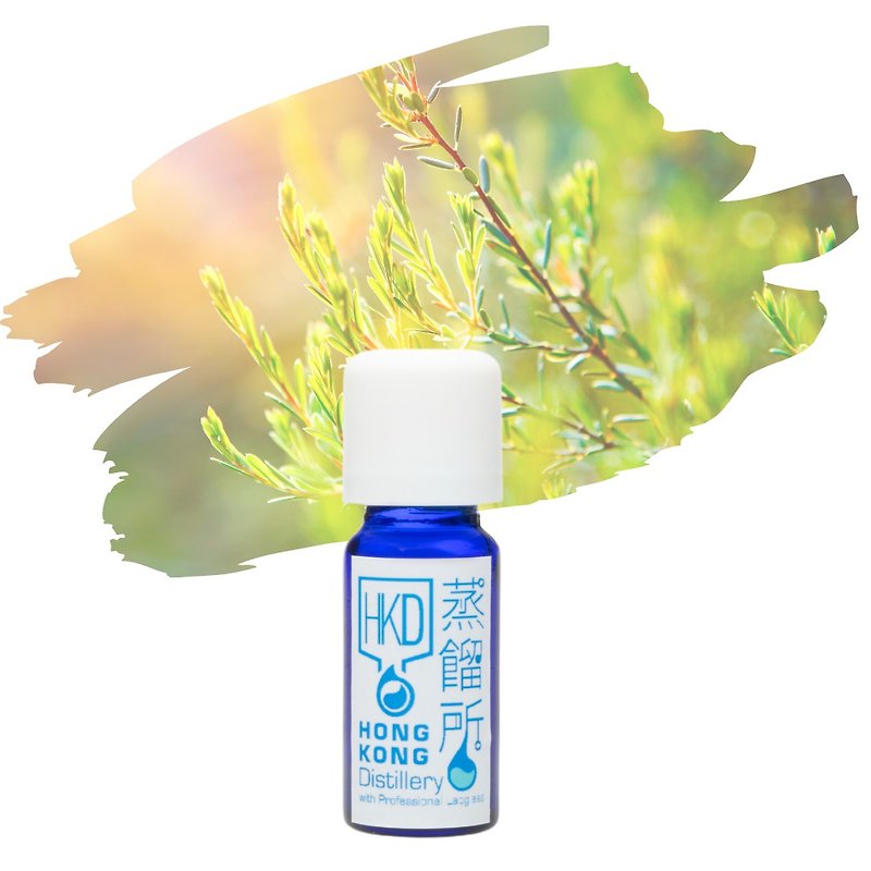 Australia Tea Tree Essential Oil - Fragrances - Essential Oils Transparent