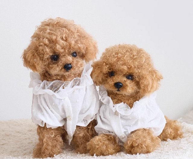 難易度アップシリーズ】テディドッグ/オリジナルシミュレーション