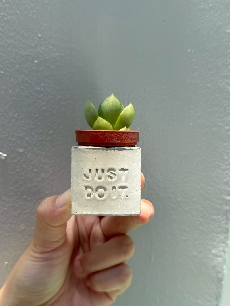 Just do it。做就對了。多肉磁鐵盆栽 - 盆栽/植栽 - 水泥 灰色