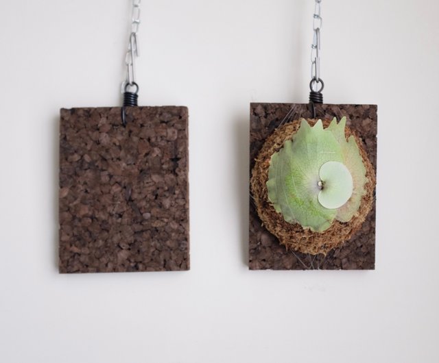 Cork Board Price In Pakistan Edu svet gob gt