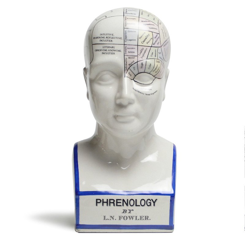 Phrenology ceramic human head (large) - Other - Other Materials 