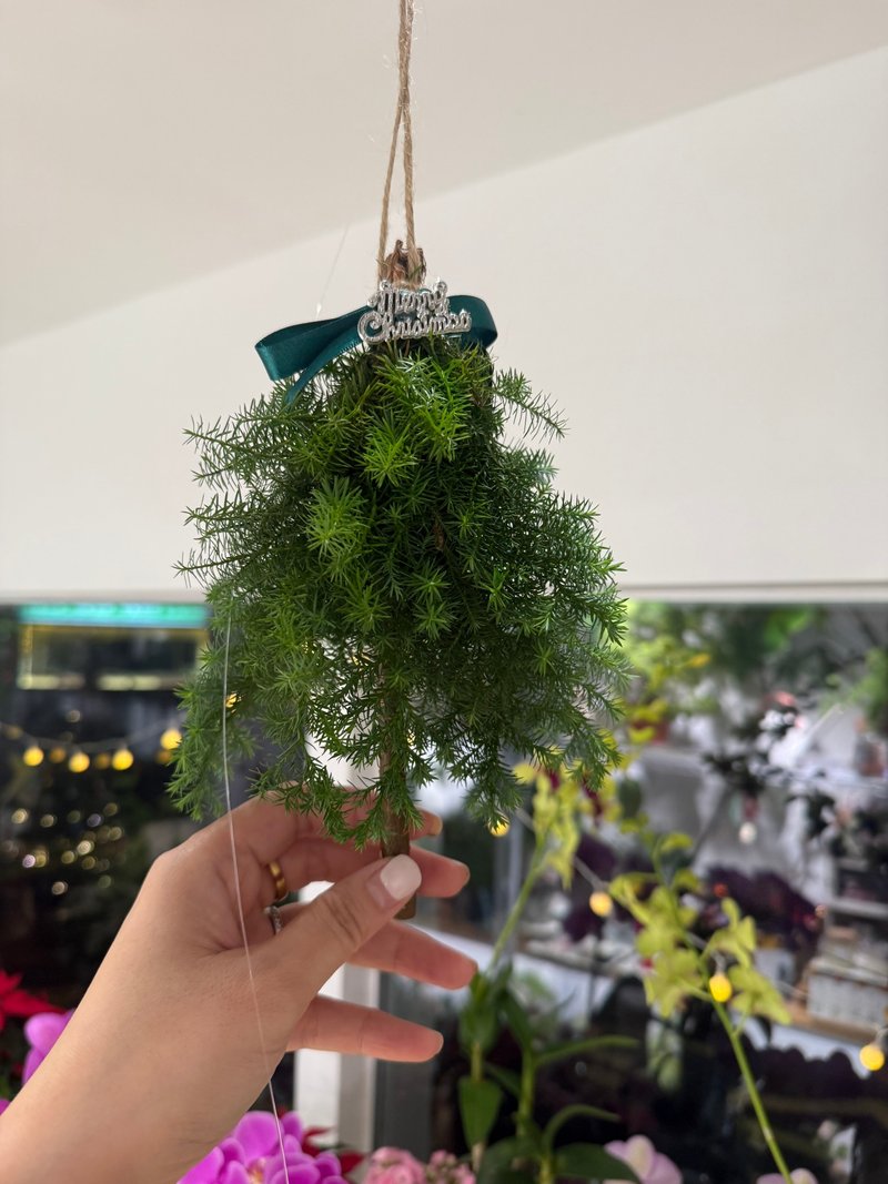 小故事商店 / 懸掛聖誕樹吊飾 - 擺飾/家飾品 - 植物．花 