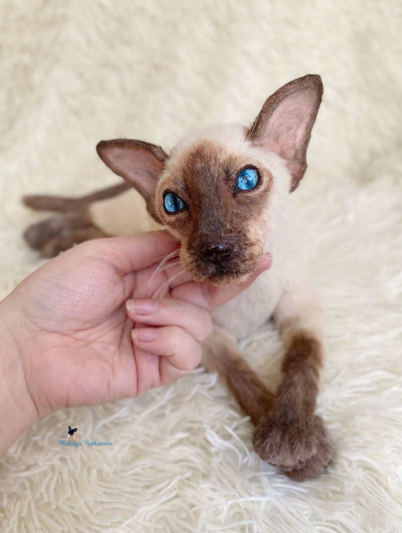 猫 exot 白色有斑点逼真的玩具可爱的小猫 - 公仔/玩偶 - 聚酯纖維 白色