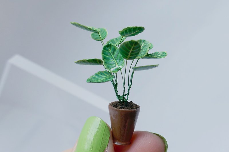 1:12 miniature plants | Calathea Zebrina - อื่นๆ - กระดาษ สีเขียว