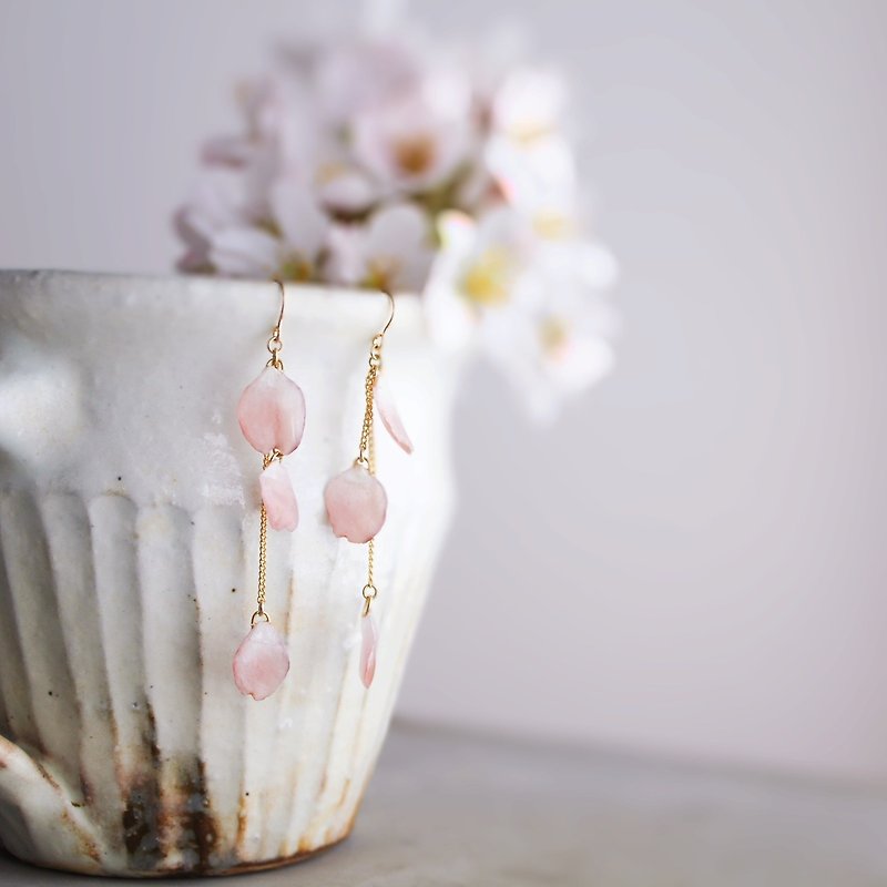 Sakura,Cherry blossoms Earrings,14k gold filled, Dried flower Earrings,No.185,Sakura - ต่างหู - พืช/ดอกไม้ สึชมพู