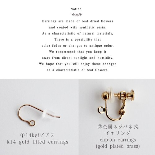 Sakura,Cherry blossoms Earrings,14k gold filled, Dried