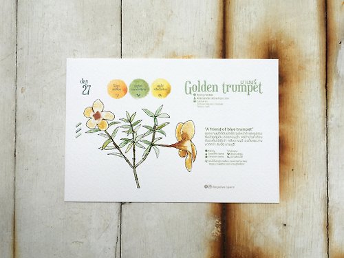 Samatha Local flowers postcard - day 27 golden trumpet