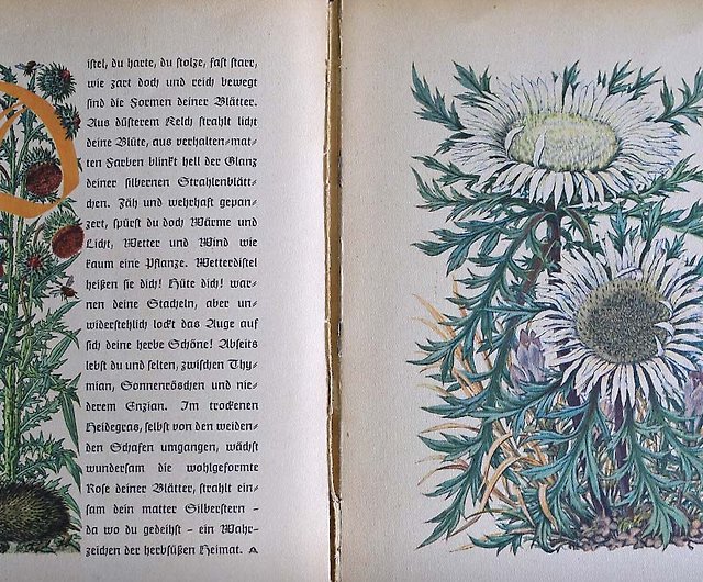 h.563 洋書古書 装丁が美しいドイツのアンティーク詩集 - 洋書