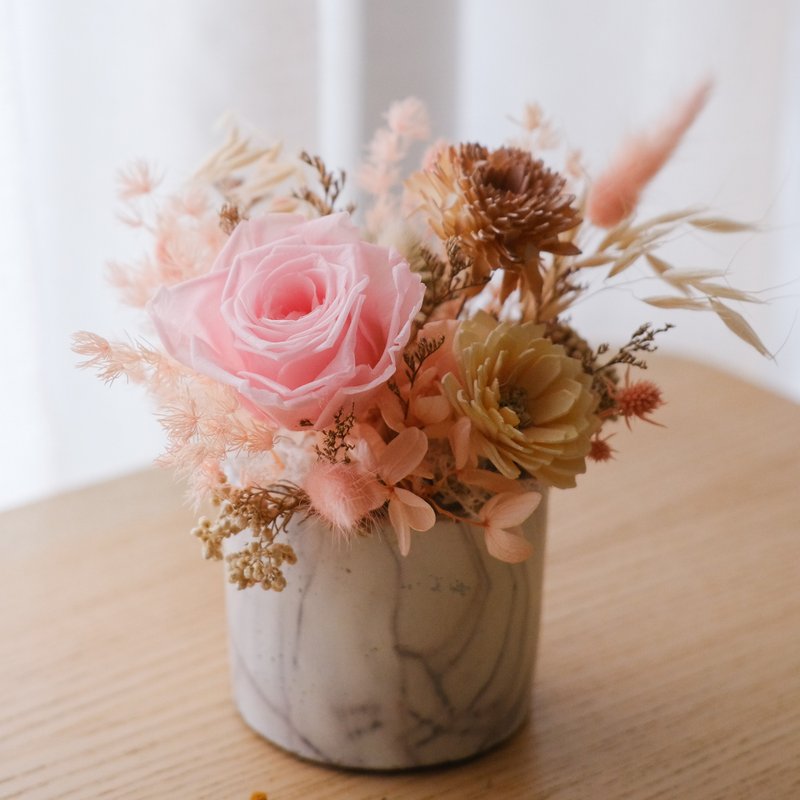 Everlasting Flower Gifts・ Everlasting Flowers and Flowers for Birthday Gifts - Dried Flowers & Bouquets - Plants & Flowers Pink