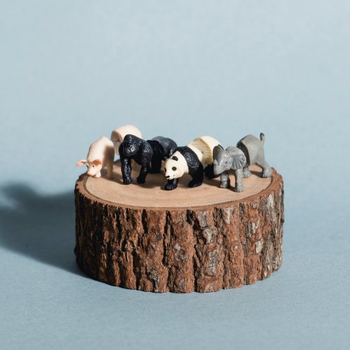 \Ear Zoo/ Unilateral Shaped Ear Stitch_Pig, Gorilla, Panda, Elephant
