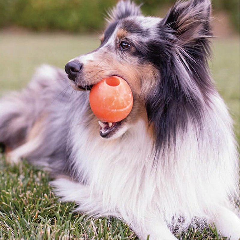 零食填充 狗狗玩具 防水 果凍球 (L) (3色) - 貓/狗玩具 - 防水材質 