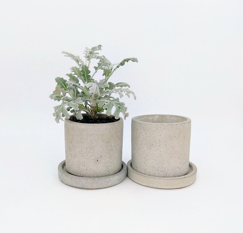 [Cup-shaped pot set] Cement flower/ Cement potted plant/ Cement planting (plants not included) - Plants - Cement Gray