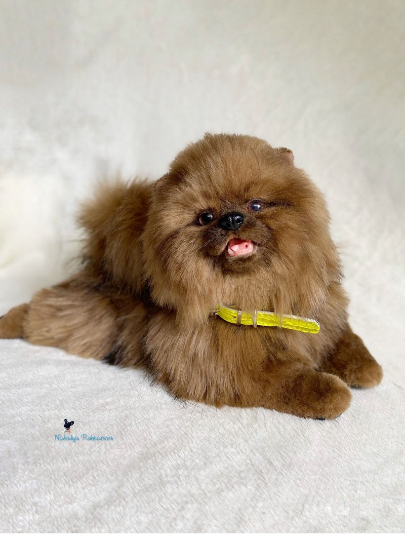 pomeranian spitz dog,  realistic toy - ตุ๊กตา - เส้นใยสังเคราะห์ สีนำ้ตาล