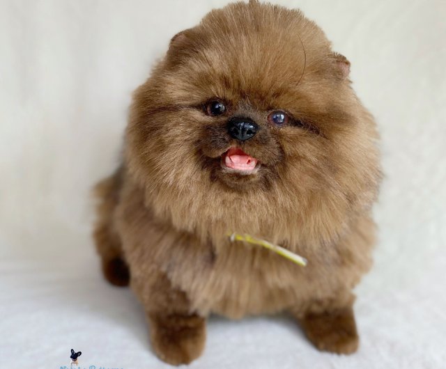 ポメ様専用♡14kgf 【公式通販】