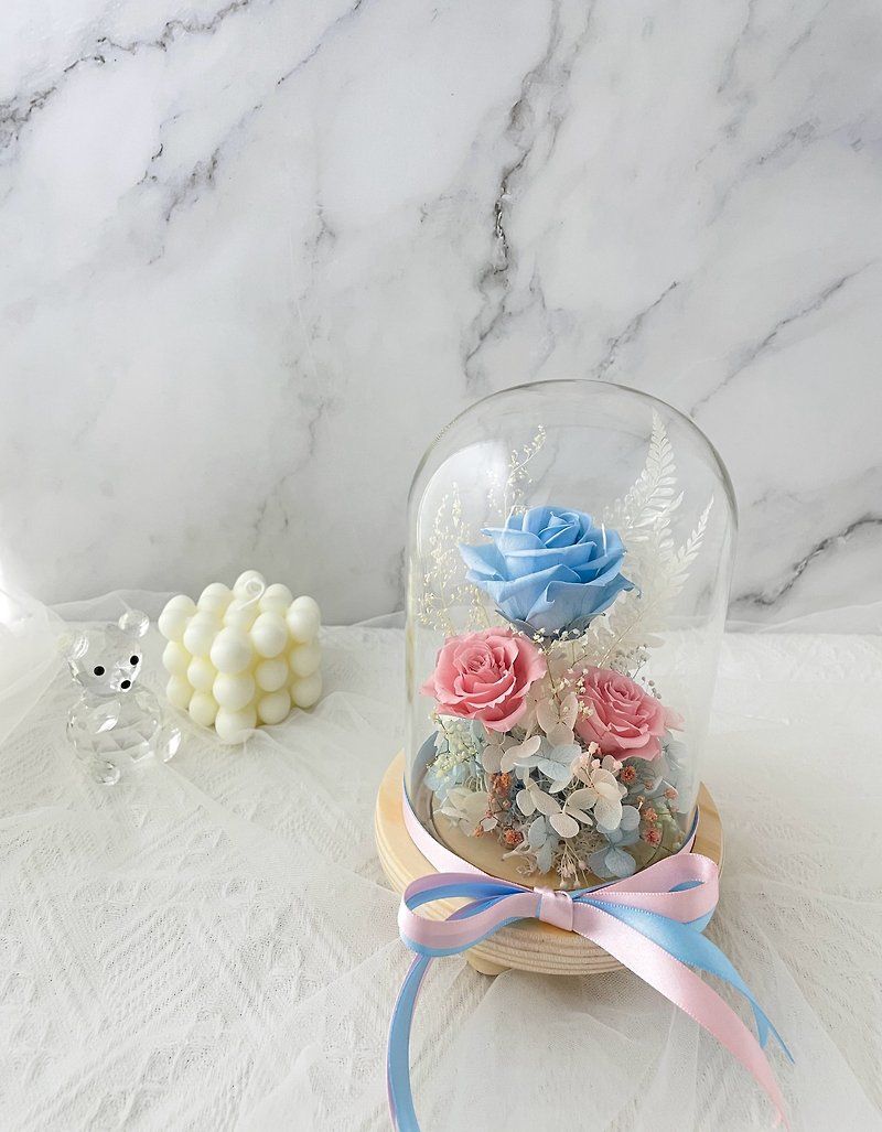 Gift/Sparkling Star/Powder Blue/Buckle-type Glass Cover/Eternal Flowers/Unfading Flowers/Dried Flowers - Dried Flowers & Bouquets - Plants & Flowers Pink