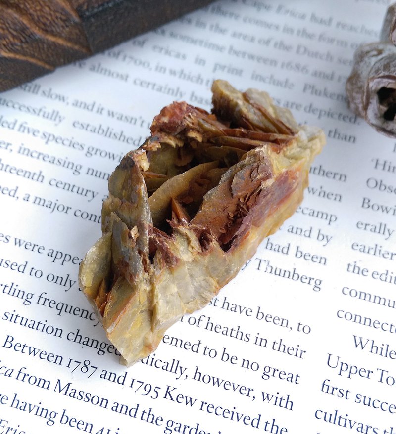 Siderite 貴州產地 菱鐵礦 白水晶共生 天然礦石 原礦 - 擺飾/家飾品 - 其他材質 