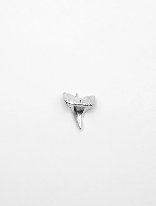 TIMU AQUA Shark Tooth 鯊魚牙 / 墜飾 ( 925 純銀 )