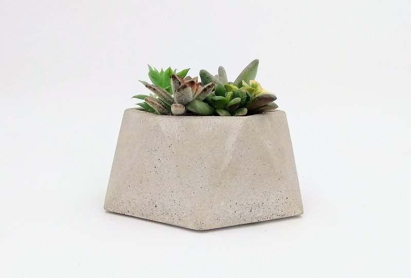 [Hexagonal pot #1] Cement flower/ Cement potted plant/ Cement planting (without plants) - Plants - Cement Gray