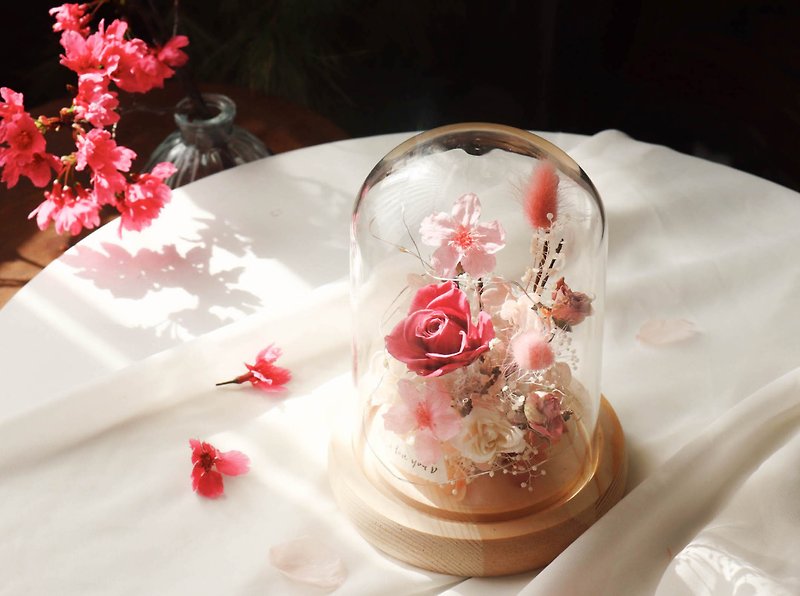 Seasonal limited immortal cherry blossom wooden bottom glass flower cup Valentine's Day flower gift Birthday flower gift Cherry Blossom - ช่อดอกไม้แห้ง - พืช/ดอกไม้ สึชมพู