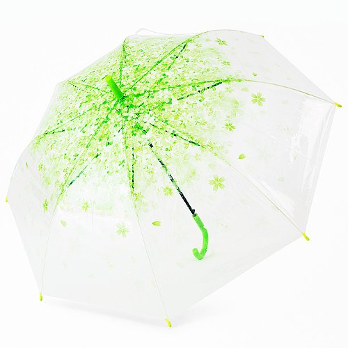 TDN 雙龍花漾自動透明傘櫻花傘 防風直傘雨傘(青果綠)
