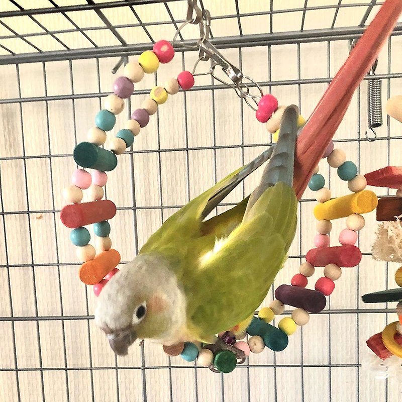 Birdtoys  -  Free Transforming bridge and Swing for birds (M size) - Pet Toys - Wood Multicolor
