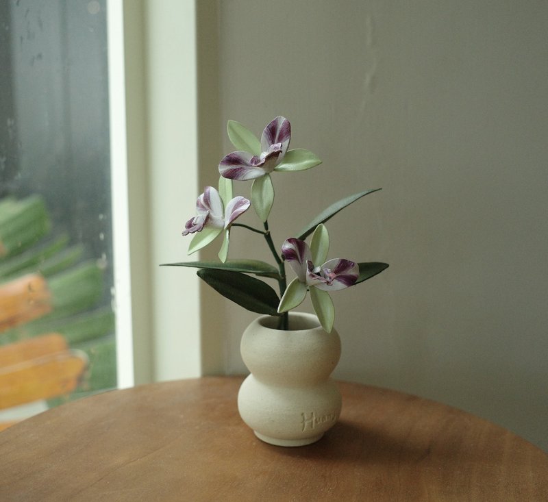 泰國寶貝嘉德麗亞蘭 Cattleya Thailand Baby 皮革蘭花 最後一組 - 盆栽/植栽 - 真皮 