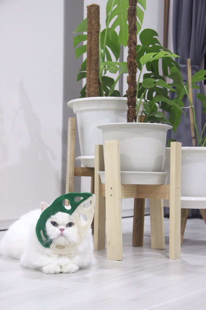 Monstera Obliqua (half white) costume for cats and small dogs - Clothing & Accessories - Other Materials 