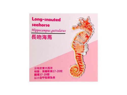 FingerStitch海洋刺繡工作室 刺繡燙貼紙系列-長吻海馬