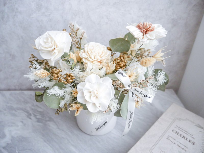 Medium and large dry potted flowers in round pots [pure white flowing gold] opening/new home completion/move-in - Plants - Plants & Flowers White