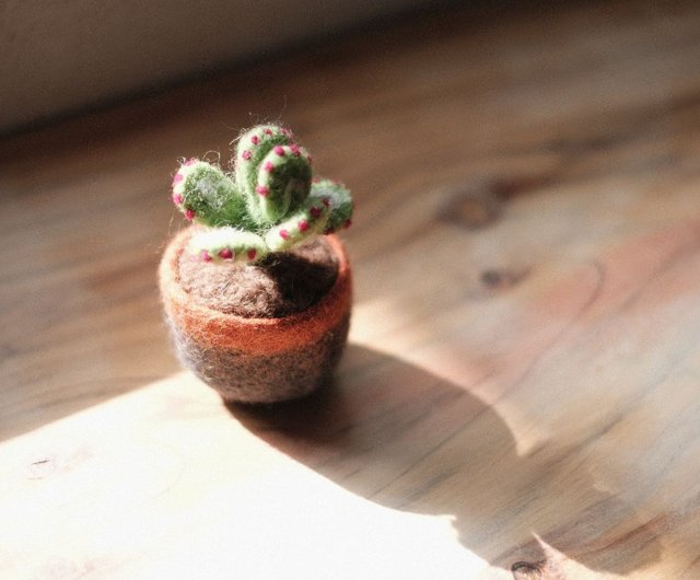 羊毛フェルト鉢植え・多肉植物サボテン - ショップ littlematter