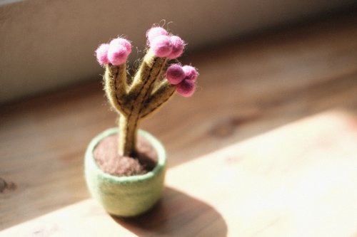 羊毛フェルト鉢植え・多肉植物サボテン - ショップ littlematter