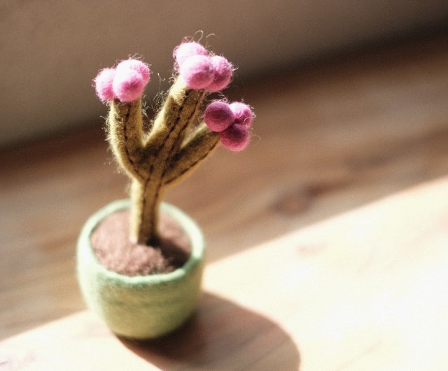 羊毛フェルト鉢植え・多肉植物サボテン - ショップ littlematter