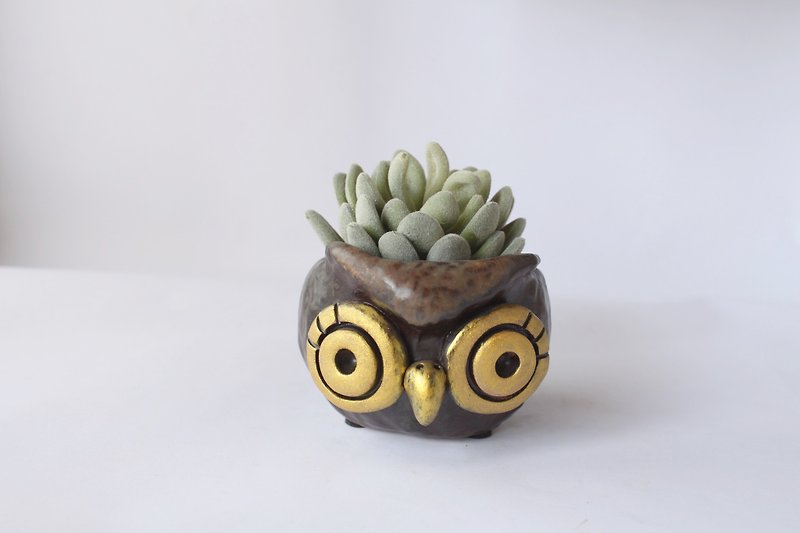 Yoshino Eagle -010│ owl hand-made pottery Succulents adorable - ตกแต่งต้นไม้ - ดินเผา สีดำ