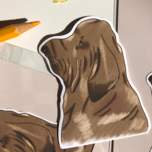 CINSCES STUDIO 防水狗狗貼紙 - 手繪血犬插畫 - 筆電/行李箱裝飾