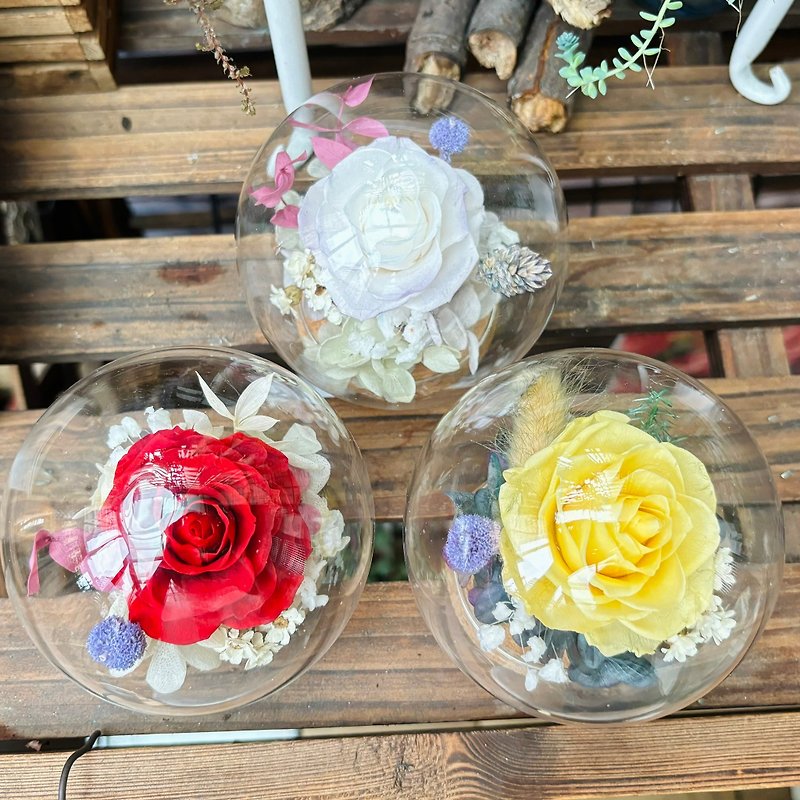 Rose flower ball cork flower cup immortalized flower gift Valentine's Day Teacher's Day Mother's Day - Items for Display - Plants & Flowers 