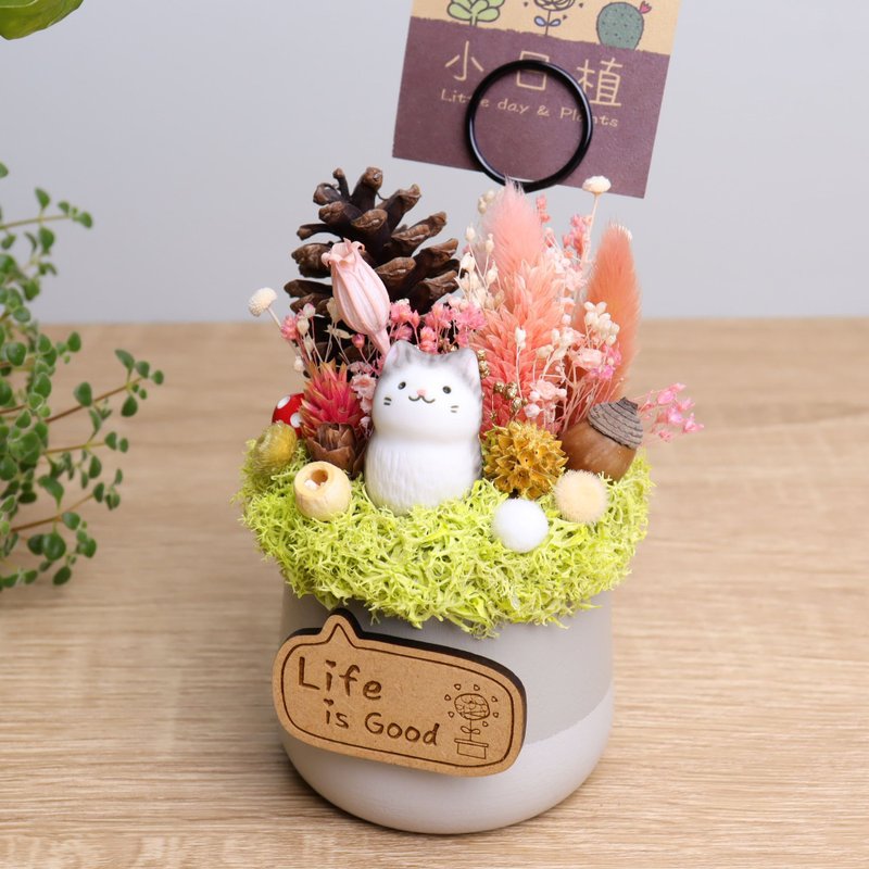軟陶小灰貓咪 乾燥花盆栽名片夾 附字牌 桌花兒童生日客製化禮物 - 乾燥花/永生花 - 木頭 灰色