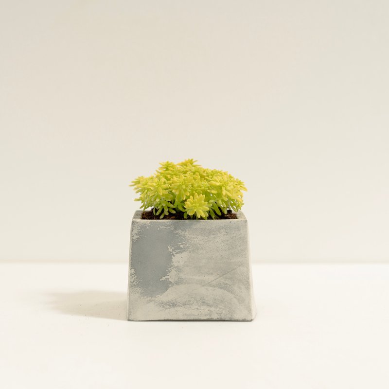 黃金萬年草│泥作系列│福所栽 - 植栽/盆栽 - 水泥 黃色
